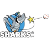 Sharks Tongeren H1