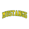 Mustangs H1