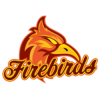 Firebirds BSC HB U12-2