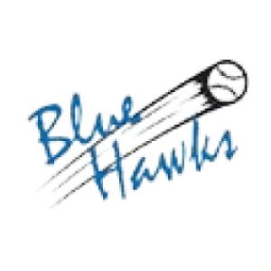 Blue Hawks Zwolle