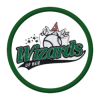 Wizards of Boz HS1