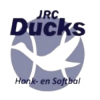 Ducks logo