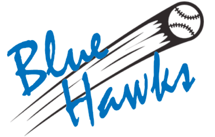 Blue Hawks