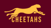 Cheetahs
