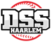 DSS logo