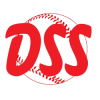 DSS logo
