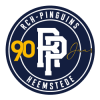 RCH-Pinguins H2