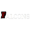 Falcons H1