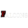 Falcons logo