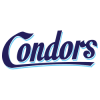Sittard Condors/Parkstad Lions U21