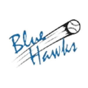 Blue Hawks Zwolle